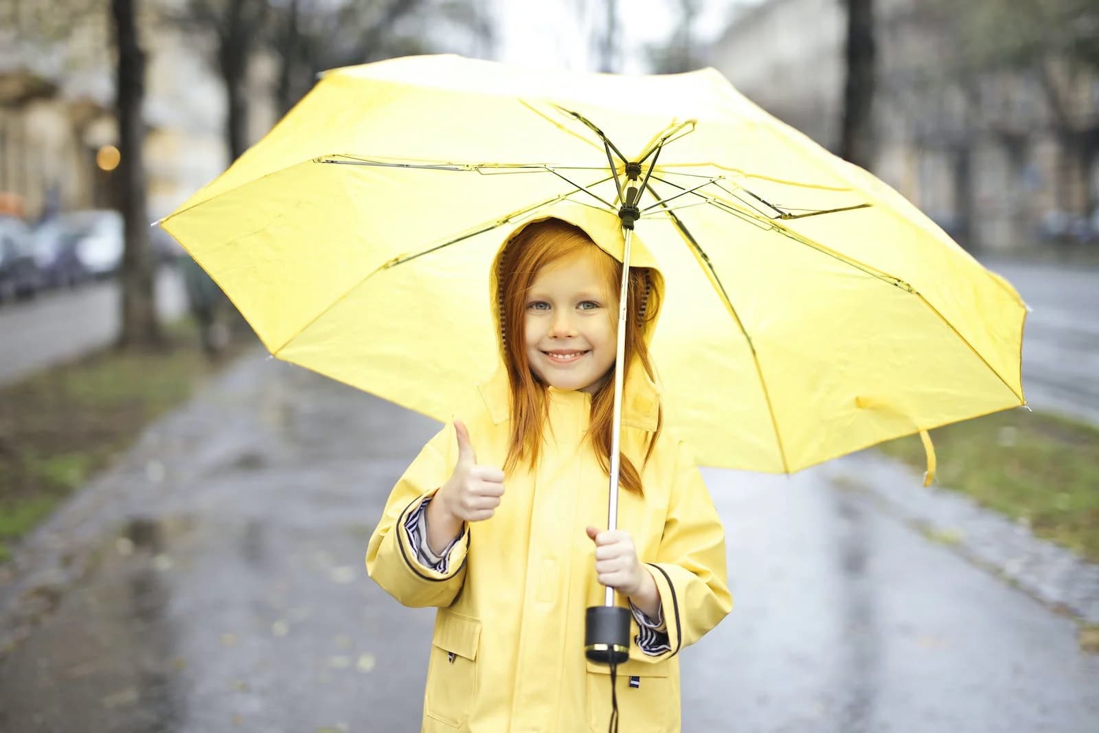 การเตรียมรถให้พร้อมในการขับขี่ช่วงฝนตกหนัก